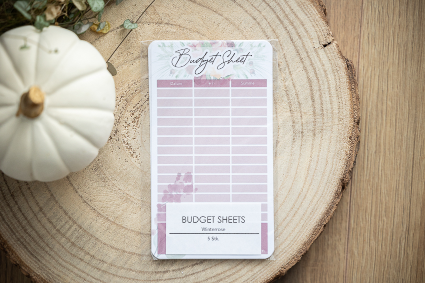 budgeting_budget_budgetsheet_sparen_sparmassnahmen_budgetuebersicht_ausgaben-winterrose